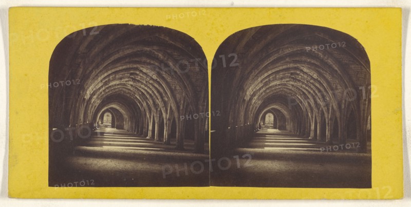Cloisters. Fountains' Abbey; British; about 1865; Albumen silver print
