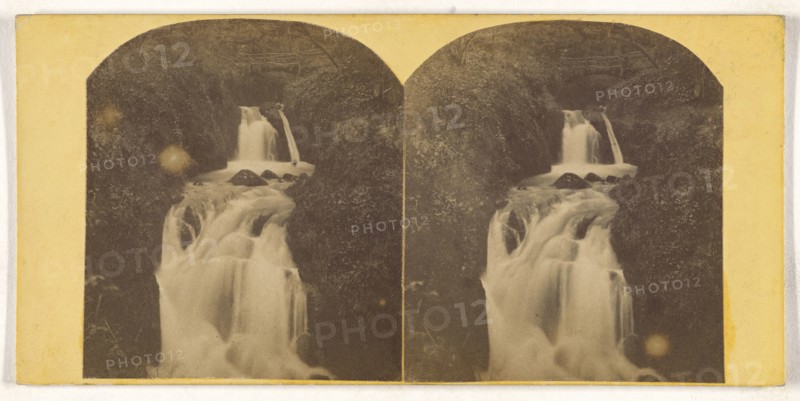 Higher Waterfall, Combe Wood, Bladeford; British; about 1860; Albumen silver print
