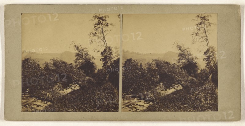 On the banks of the Devon; British; about 1860; Albumen silver print