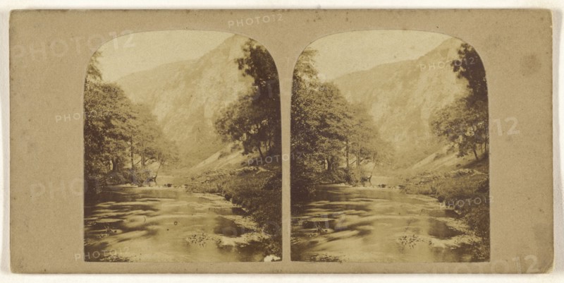 View in Dovedale; British; about 1865; Albumen silver print