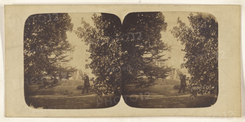 R. Charlestons; British; about 1860; Albumen silver print