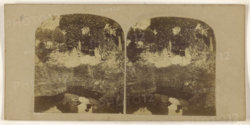 Woman seated on ground overlooking a brook, her reflection seen in the brook; British; about 1860; Albumen silver print