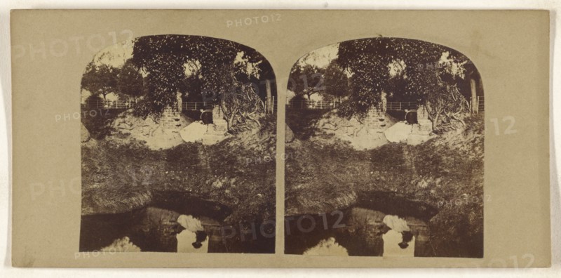 Woman seated on ground overlooking a brook, her reflection seen in the brook; British; about 1860; Albumen silver print