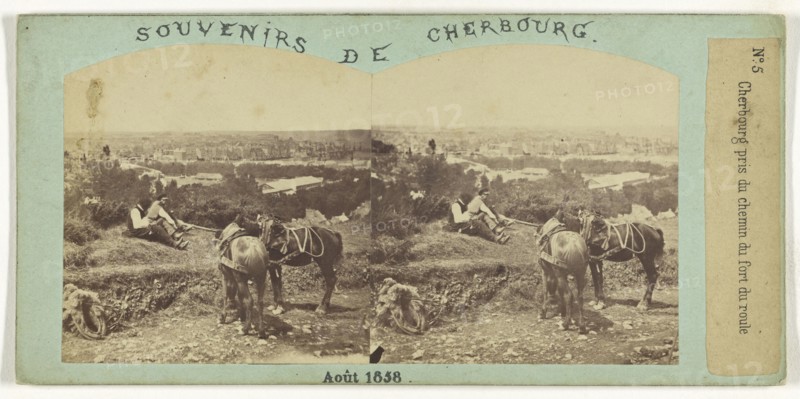 Cherbourg pris du chemin du fort du roule; French; August 1858; Albumen silver print
