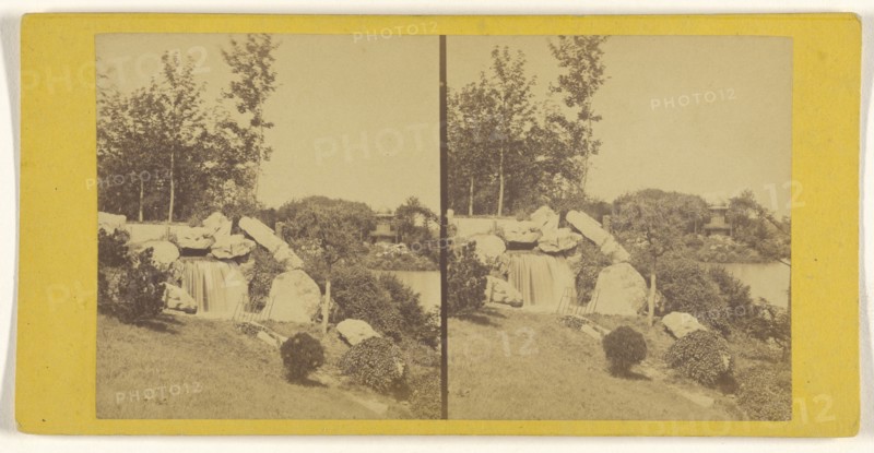 Bois de Boulogne; French; about 1865; Albumen silver print