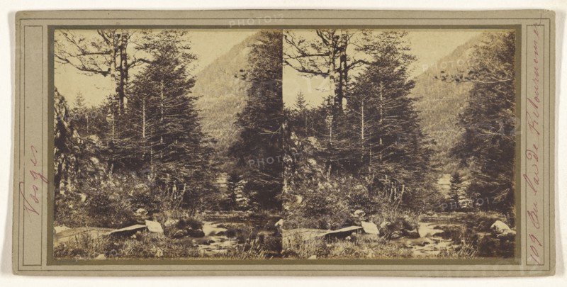 Vosges. Au lac de Retouruemer; French; about 1865; Albumen silver print