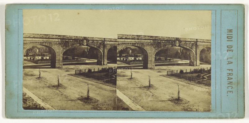 avenue de Montpellier,Midi de la France; French; about 1860; Albumen silver print