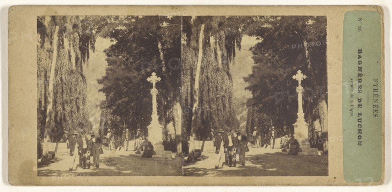 Pyrenees. Bagneres de Luchon. Avenue de la Pique; French; about 1860; Albumen silver print