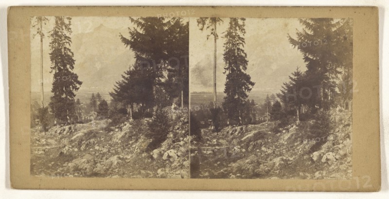 Vue prise a Seitorf pres Altorf. Canton d'Uri Suisse, Switzerland; about 1865; Albumen silver print