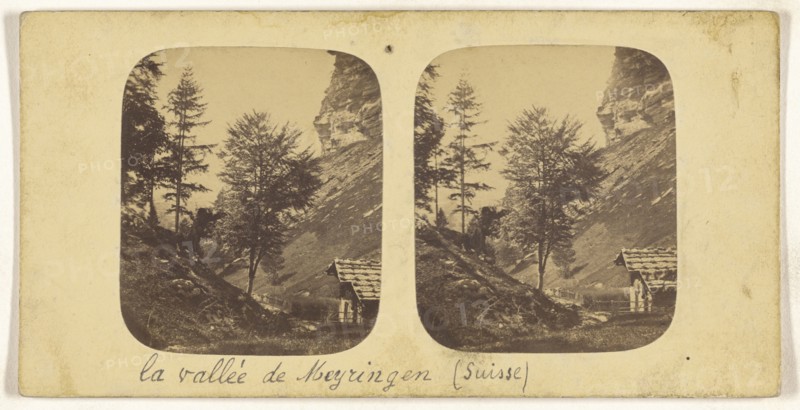 Paysage dans la Gorge obscure pres Meiringen, Suisse, Switzerland, about 1865; Albumen silver print