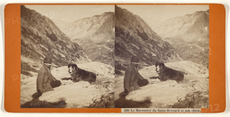 Le Maronnier du Saint-Bernard et son chien; about 1865; Albumen silver print, Switzerland