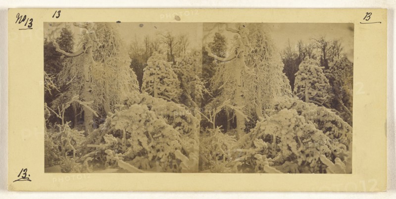 Luna Island Scenery; Canadian; about 1863; Albumen silver print