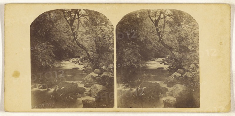 River Yealm Buck of, British; about 1870; Albumen silver print