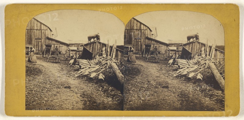 Hudson Valley; American; about 1865; Albumen silver print