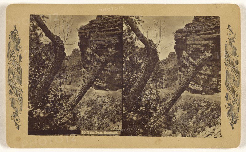 Yute Pass, Colorado; American; about 1871; Albumen silver print