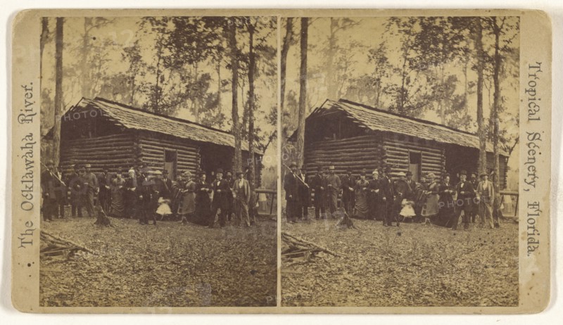 Double Pen, Log House Florida; American; about 1870; Albumen silver print