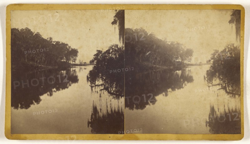 View on St. John's River, Florida, ?, American; about 1870; Albumen silver print