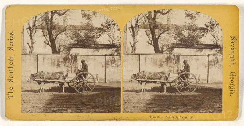 A Study from Life. Savannah, Georgia; American; about 1875; Albumen silver print