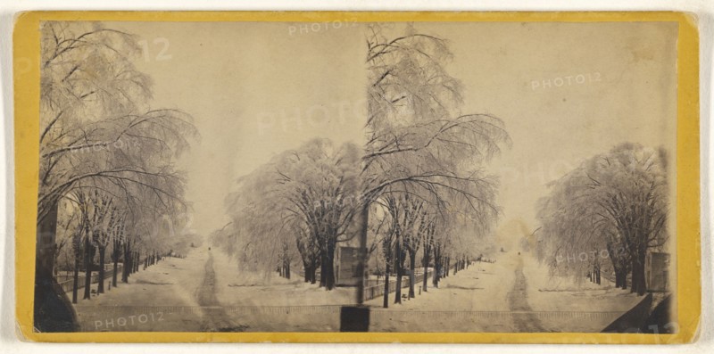 Elm Street, Winter, Potsdam, N.Y; American; about 1865; Albumen silver print