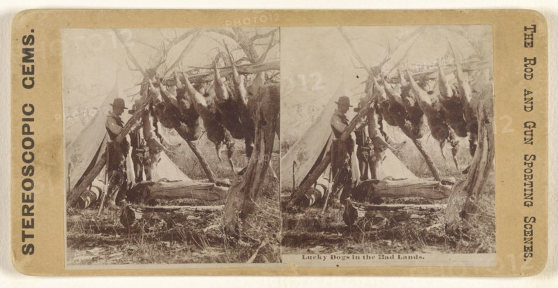 Lucky Dogs in the Bad Lands; American; about 1865; Albumen silver print