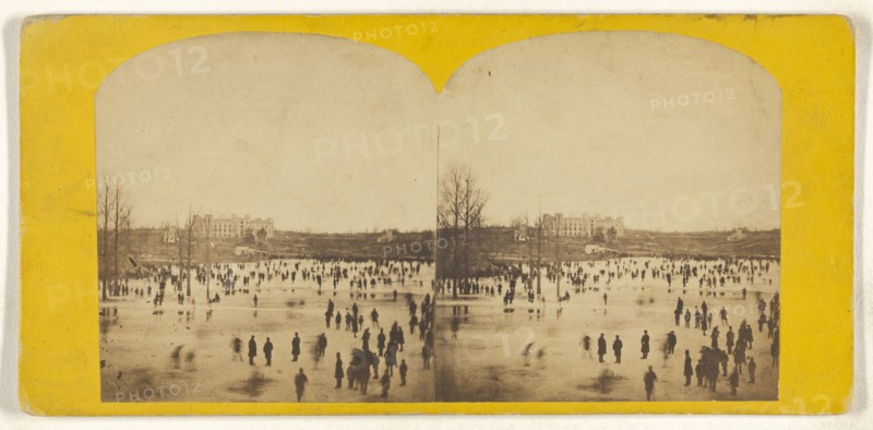 Central Park. The Skating Pond; American; about 1865; Albumen silver print