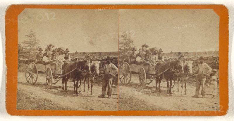 French Wedding Party, possibly at New Brunswick, Canada; George T. Taylor, Canadian, active 1870s, about 1870; Albumen silver
