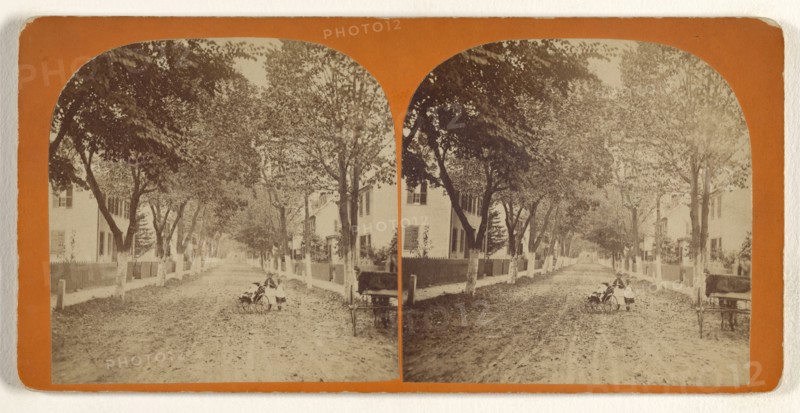 Worthen Street, Lowell, Mass; Simon Towle, American, active Lowell, Massachusetts 1855 - 1893, about 1874; Albumen silver print