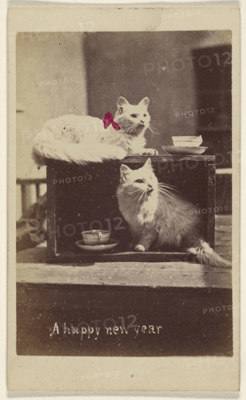 A happy new year; Henry Pointer, British, 1822 - 1889, about 1865; Hand-colored albumen silver print