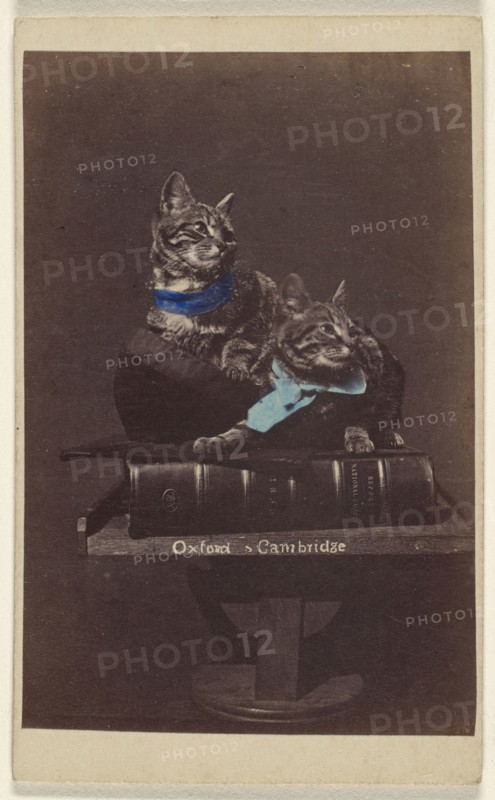 Oxford & Cambridge; Henry Pointer, British, 1822 - 1889, about 1865; Hand-colored albumen silver print