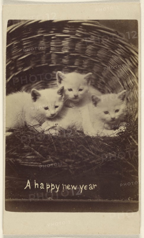 A happy new year; Henry Pointer, British, 1822 - 1889, about 1865; Albumen silver print