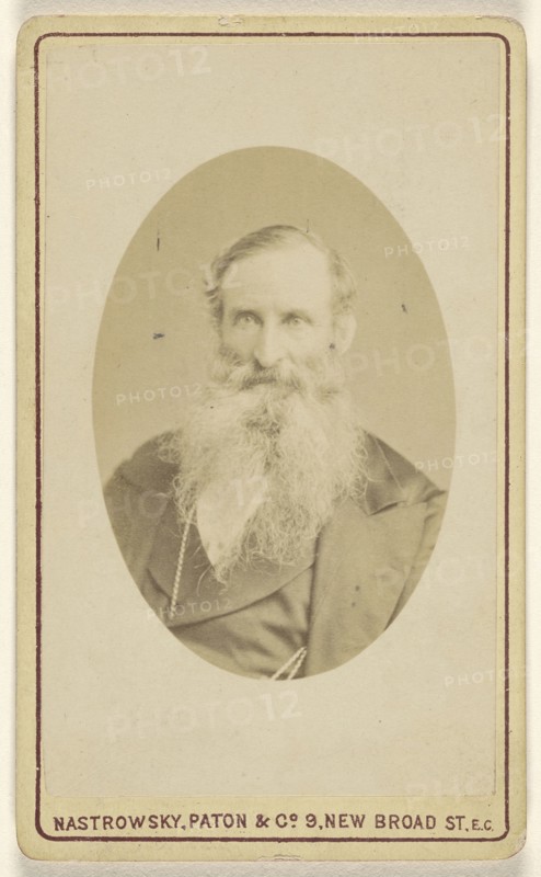 white bearded elderly man; William Charles Nastrowsky, Paton & Company; 1870s; Albumen silver print