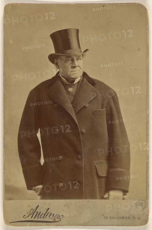 John Gilbert Wallock Co; Anderson; about 1875; Albumen silver print