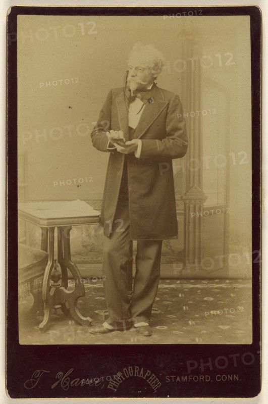 A Game of Cards, actor holding playing cards, standing; Theophile W.M. Havee, American, 1848 - 1921, active Stamford