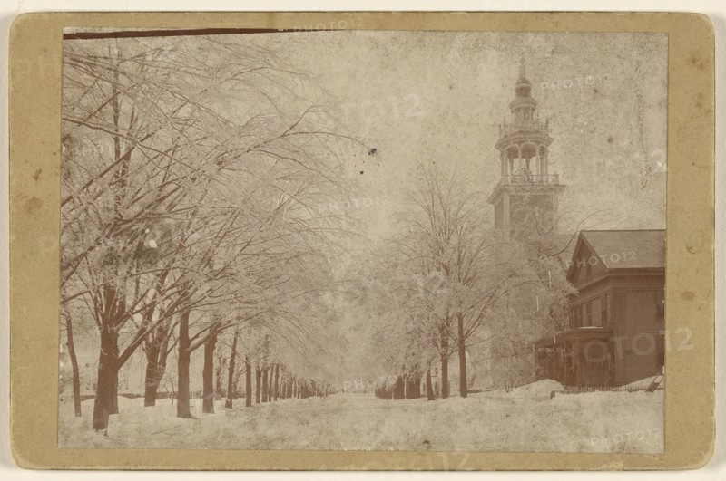 View of a tree-lined street with snow, Ashfield, Massachusetts; A.W. & G.E. Howes; 1896; Gelatin silver print