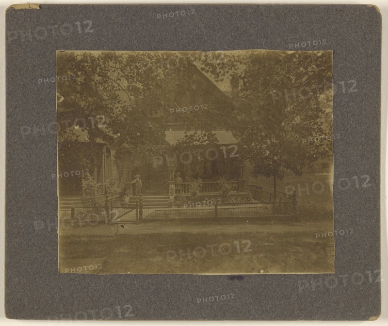Vine St. Denver Colo.,View of houses with trees; American; about 1910; Gelatin silver print
