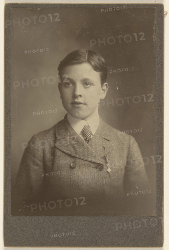 Portrait of a well-dressed young boy; about 1880; Platinum print