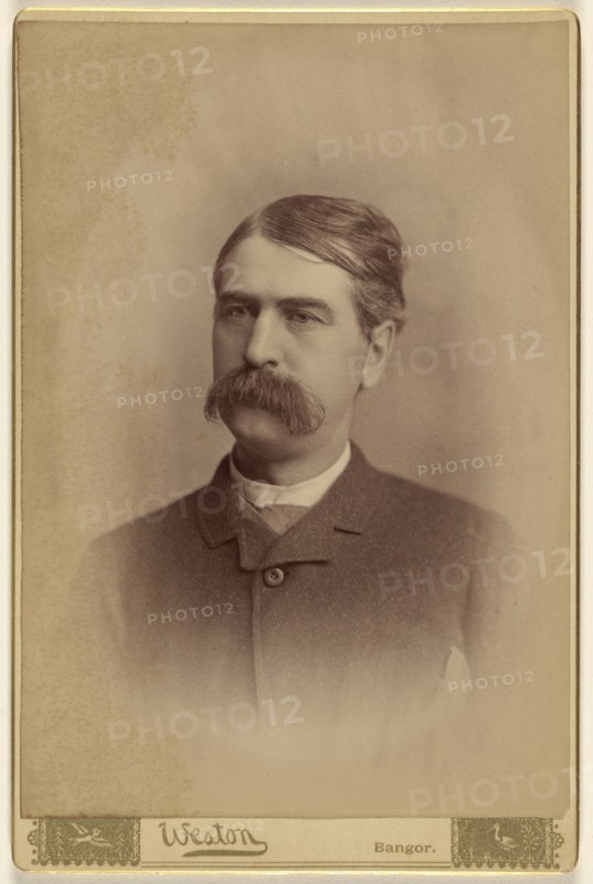 Portrait of an  man with a bushy moustache; F.C. Weston, American, active 1870s - 1880s, March 1885; Albumen silver print