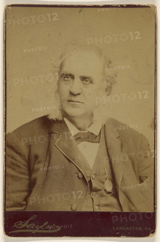 man with long muttonchops; Charles A. Saylor, American, active 1860s - 1870s, about 1885; Albumen silver print