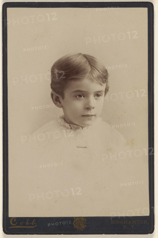 little boy, in vignette-style; N.G. Cobb, British, active 1860s - 1870s, 1890s; Gelatin silver print