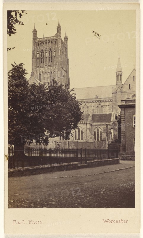 Exeter Cathedral. From the Palace Garden; Francis Charles Earl, British, active 1860s - 1870s, November 14, 1865; Albumen