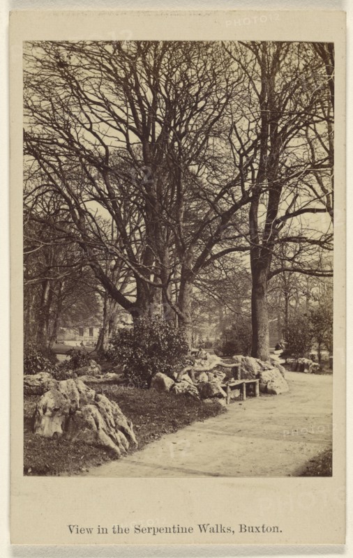 View in the Serpentine Walks, Buxton; Thomas Ogle, British, active Penrith, England 1850s - 1860s, 1864 - 1865; Albumen silver