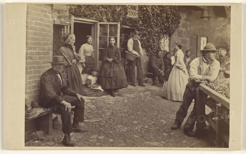 A sketch at Shanklin. April 1866; Brown & Wheeler; April 1866; Albumen silver print