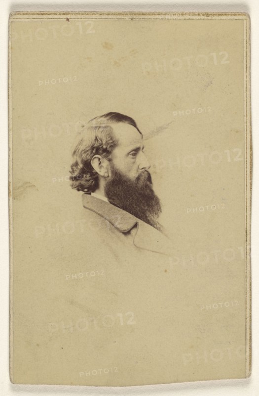 long bearded man in profile; Studio of Mathew B. Brady, American, about 1823 - 1896, 1861 - 1865; Albumen silver print