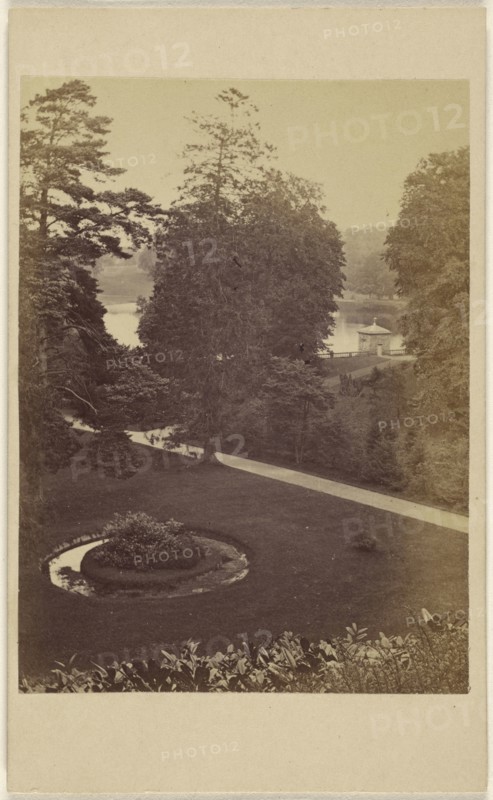 Pleasure Grounds, Fountain Abbey; British; November 6, 1865; Albumen silver print