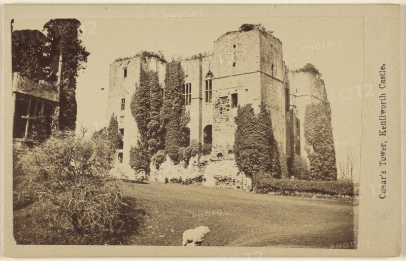 Caeser's Tower, Kenilworth Castle; British; 1865 - 1867; Albumen silver print