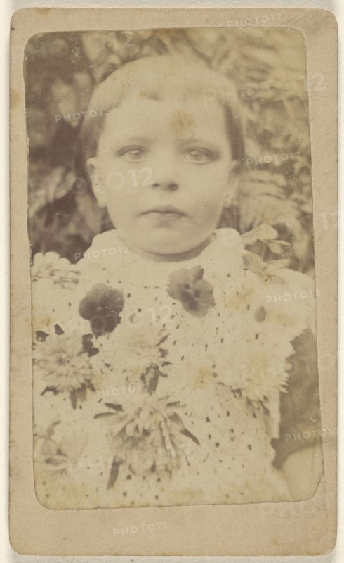 little girl wearing a flowered dress; 1870 - 1875; Albumen silver print
