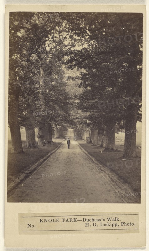 Knole Park - Duchess's Walk; H.G. Inskipp, British, active London, England 1870s, 1864 - 1867; Albumen silver print