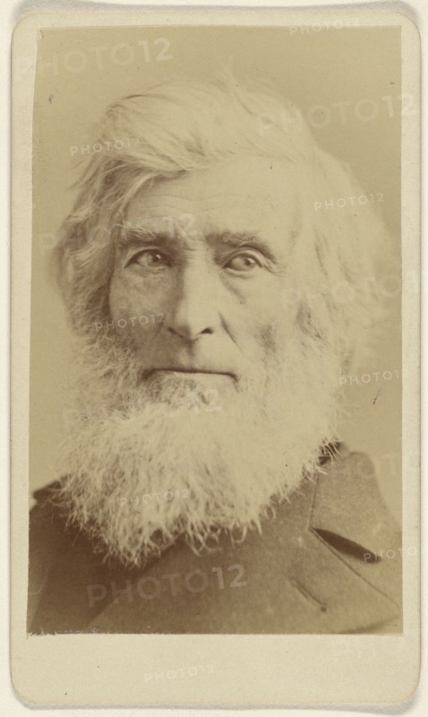 Asher Brown Durand, 1796 - 1886, Sarony & Co; 1880 - 1885; Albumen silver print