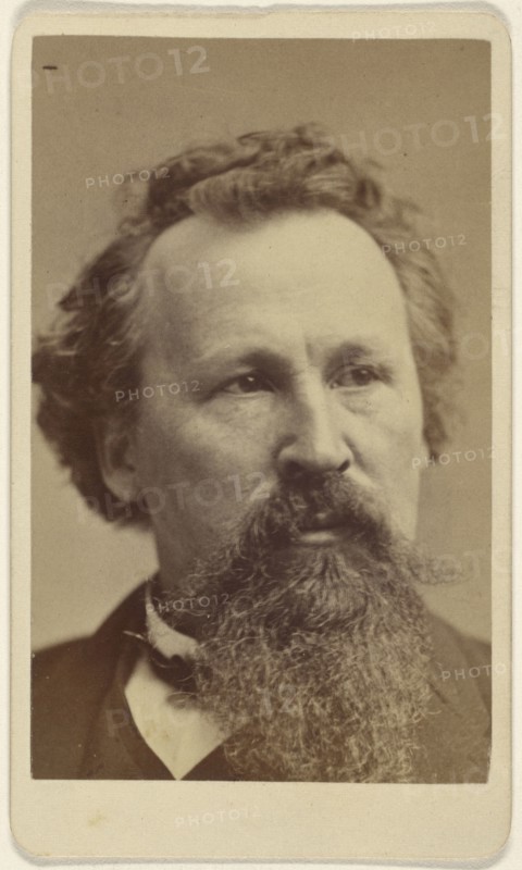 Eastman Johnson, 1824 - 1906, Sarony & Co; 1880 - 1885; Albumen silver print