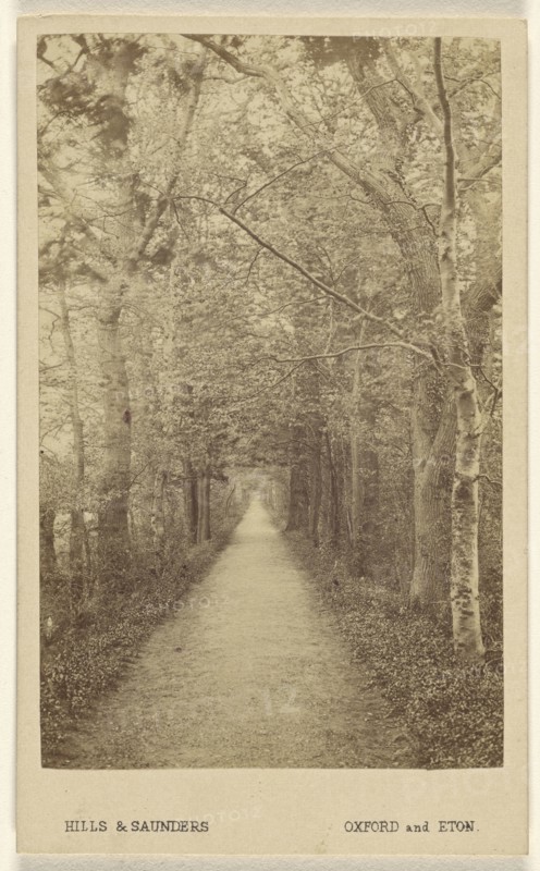 Addison Water Walk, Magdalen. Oxford, England; Hills & Saunders, British, active about 1860 - 1920s, May 1866; Albumen silver